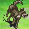Chien de liene 1