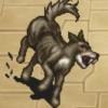 Chien de liene c