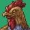 Cockatrice