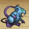 Rat geant 1